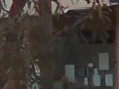 FitVibes Physiotherapy Clinic DR. Swati Tayde