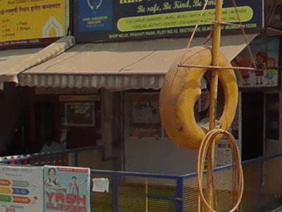 Mind Moulders Educare